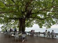 Papa Beach พัทยา