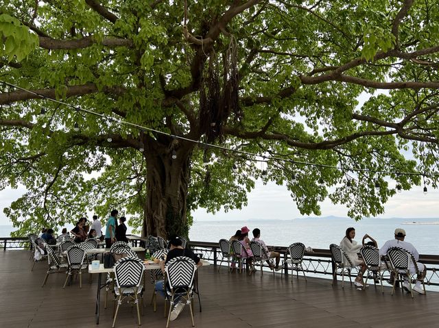 Papa Beach พัทยา