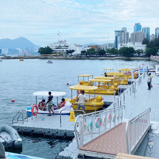 暢遊海濱花園，欣賞維港美景