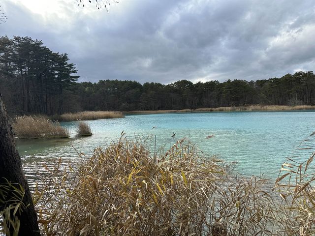 【福島】磐梯山の近くにある五色沼でラン🏃