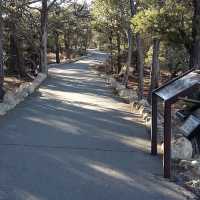 Hiking In Grand Canyon South Rim