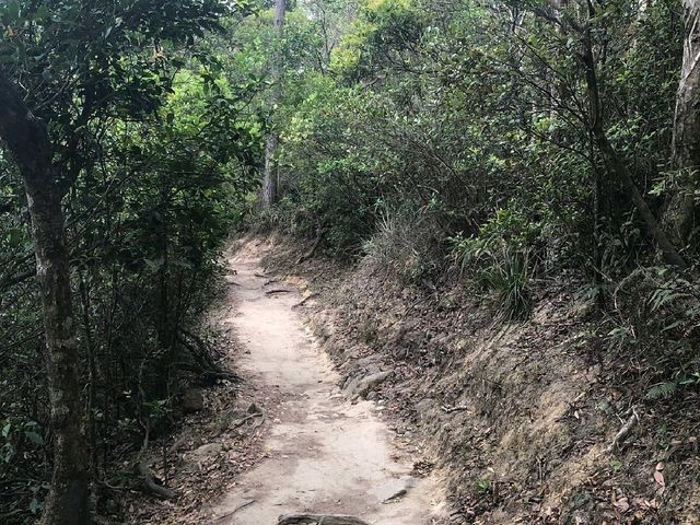 Lion Rock Country Park. 