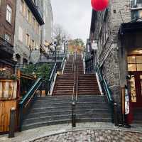 캐나다 퀘벡 1 🇨🇦