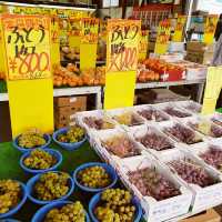 【山梨】富士北麗　果物　野菜市場