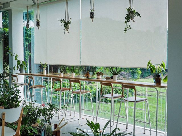 🍃 Coro Field ฟาร์มสไตล์ญี่ปุ่นชื่อดัง ราชบุรี