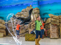 三重県【鳥羽水族館】