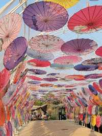 偽日本一日遊。信芯園農莊 Shun Sum Yuen Farm