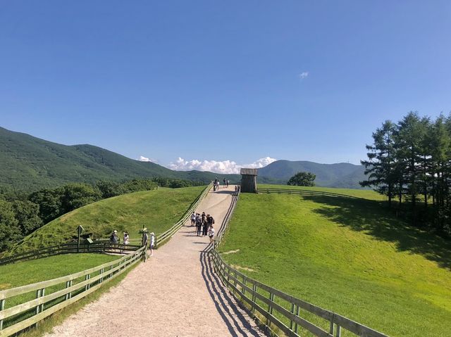 코리안 알프스, 대관령 양떼목장으로!🐑🌳