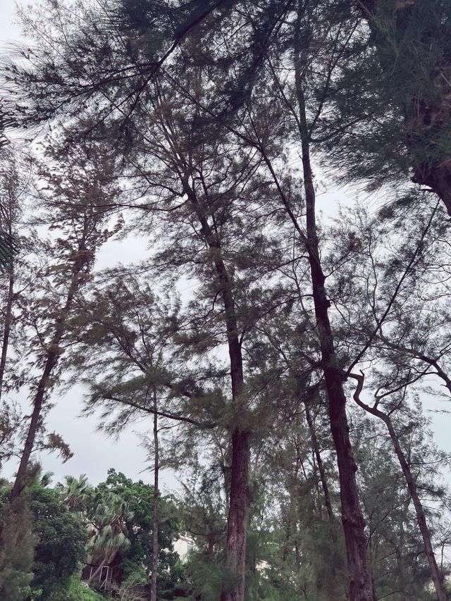 愉景灣