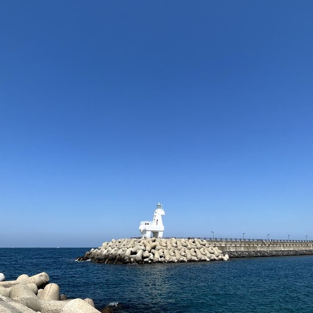 제주 이호테우 해수욕장 