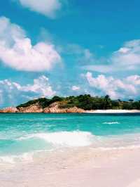 Vitamin-Sea Paradise 🤩