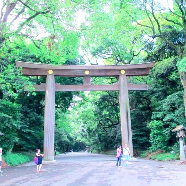 Meiji Shrine @Shibuya Tokyo