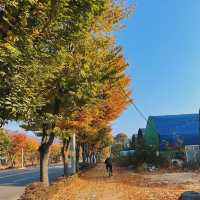 북한산국립공원 🍁 단풍놀이