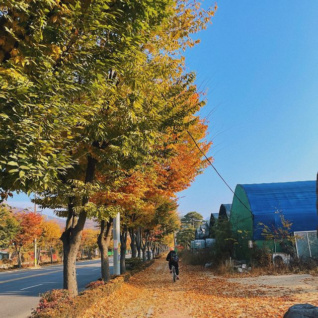 북한산국립공원 🍁 단풍놀이