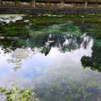 Holy Water at Tirta Empul Bali Indonesia 