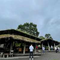 不老部落一日遊