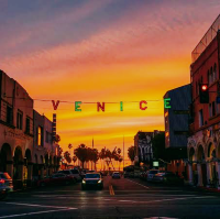 Memorable trip to Venice Beach