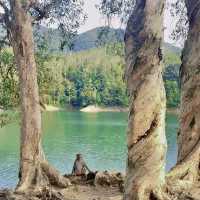 Explore out the Kam Shan Country Park 