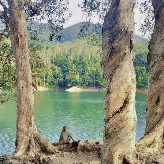 Explore out the Kam Shan Country Park 