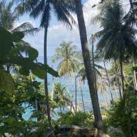 ถ่ายรูปกับต้นมะพร้าว ที่หาด ลับ ภูเก็ต