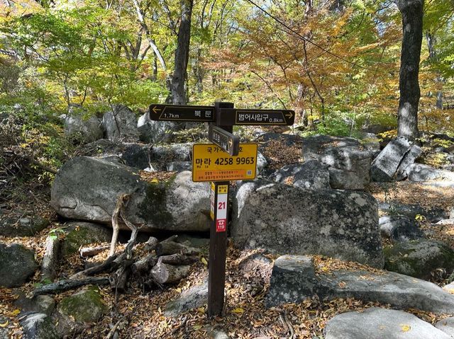 Autumn 🍂 foliage with lovely hiking trail 
