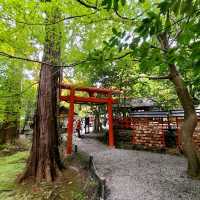 良縁・子宝・学問【野宮神社⛩️】✨