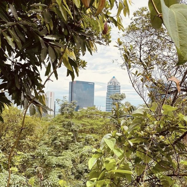 A nice place to visit in 🇸🇬