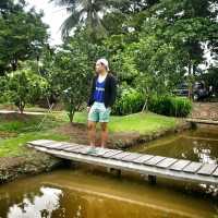 คาเฟ่เล็กๆ ในสวนผลไม้
