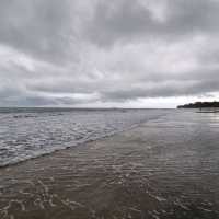 Expected the unexpected at Desaru Coast!