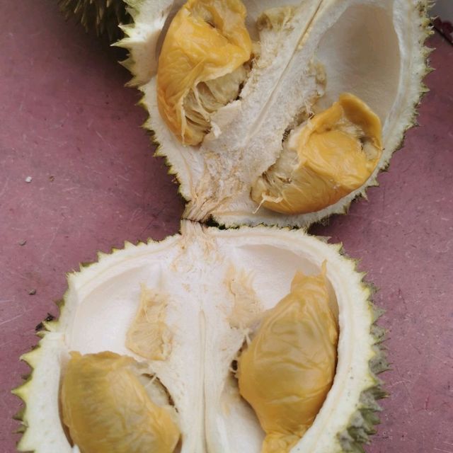 King Fruit Durian