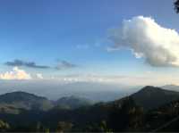 ลานกางเต็นท์ปุยเมฆอ่างขาง