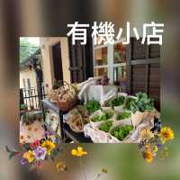 活化⋯⋯在古蹟中注入生活，綠匯學苑。