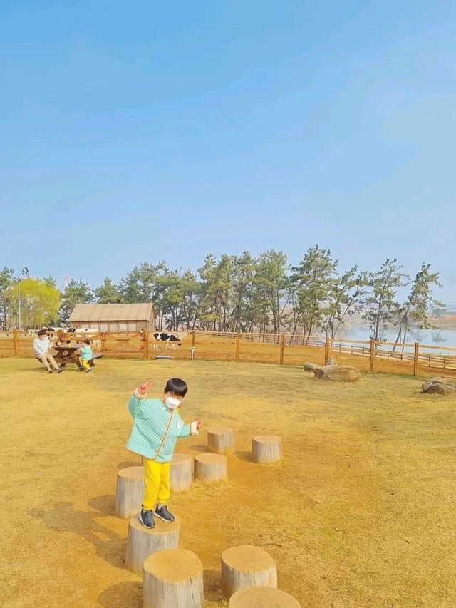 고창의 필수 방문코스 상하농원
