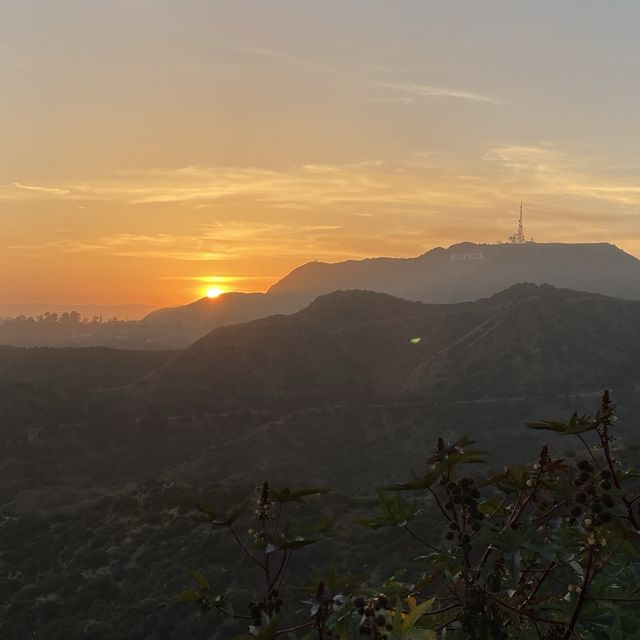 Epic Hollywood Sign Hike + others of our trip