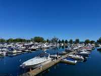 Bluffers Park Marina 🇨🇦