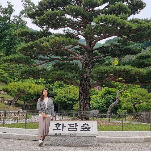 우리 화담할래요?
