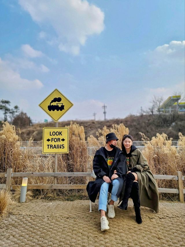 억새뷰가 아름다운 전남 화순카페, 카페아더맨☕️
