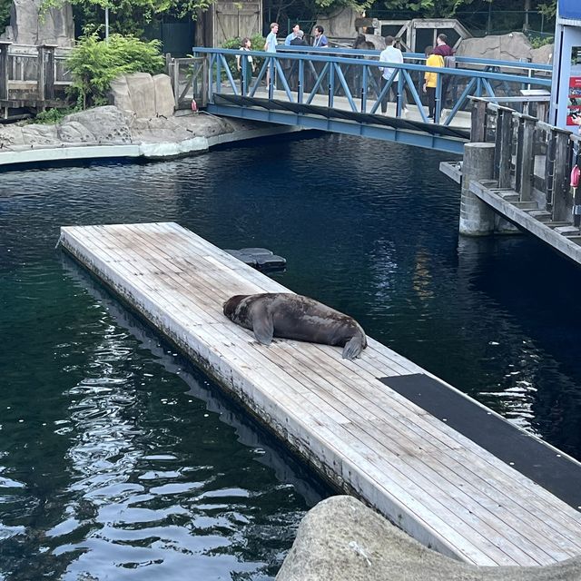 Aquarium in Vancouver 