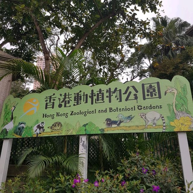 Hong Kong Zoological and Botanical Gardens