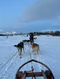 挪威🇳🇴特羅姆瑟雪橇之旅 人生必體驗