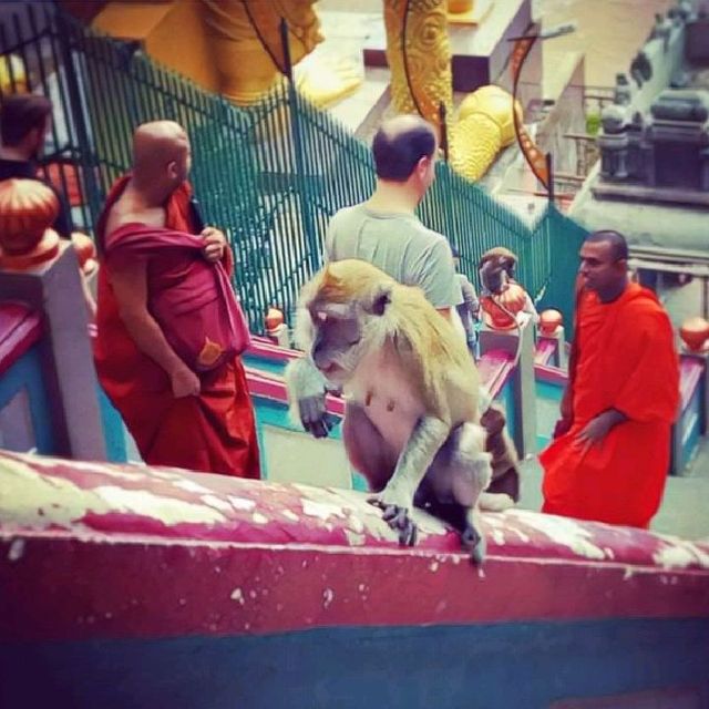 Batu caves, Malaysia ❤️