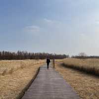 Dongtan Wetland Park, Chongming