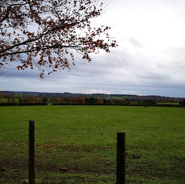 Get out into nature