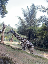African Village in Indonesia, what? Amazed!!!