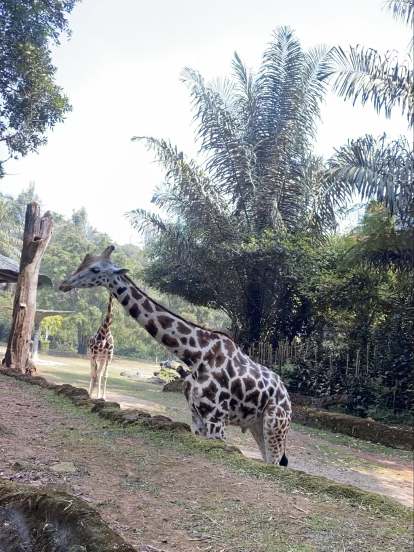 African Village in Indonesia, what? Amazed!!!