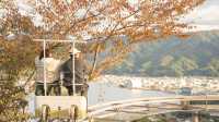 京都の北！天橋立！