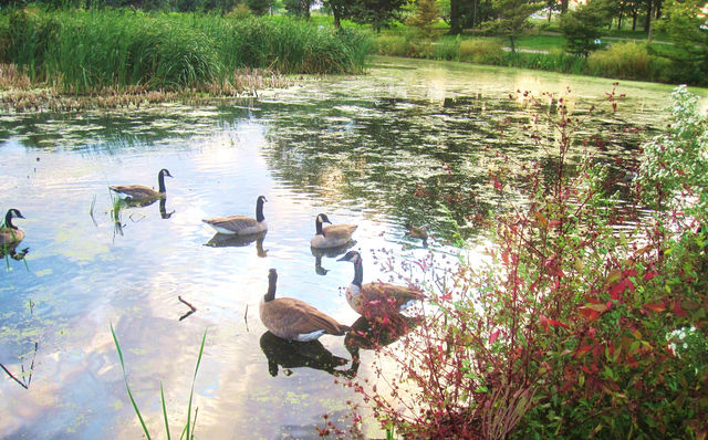 Beautiful Minnehaha Fall and Park