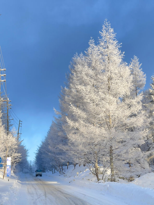 Climbed to the summit of Mount Ryoukou in Japan, one of the 100 famous mountains, during the severe winter season.