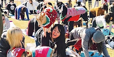 Goat Yoga at BTB Richardson! | Beyond the Bar Bottle Shop