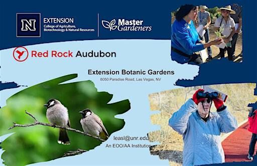 Slow Birding Walks at the Extension Botanic Gardens | University of Nevada, Reno Extension